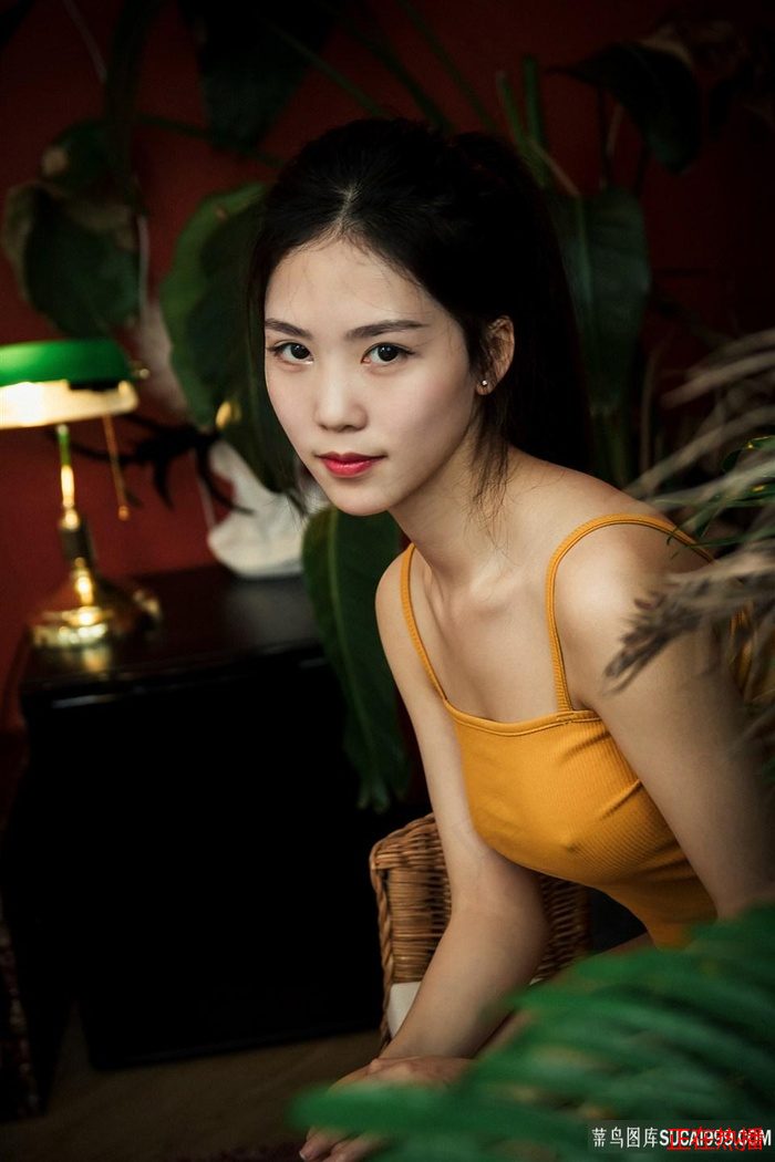 超过10季的美剧都有哪些